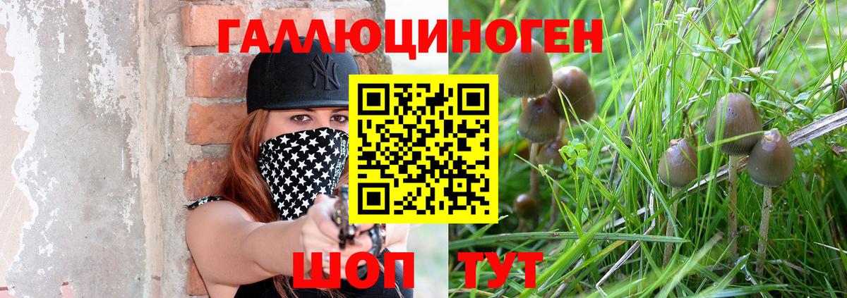 Галлюциногенные грибы GOLDEN TEACHER Геленджик