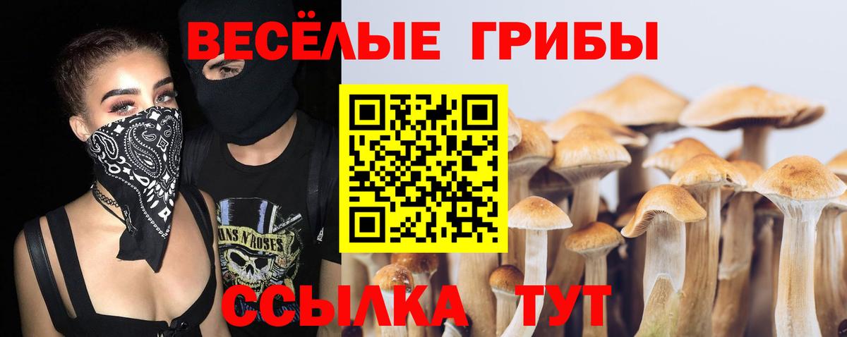 Псилоцибиновые грибы MAGIC MUSHROOMS Геленджик