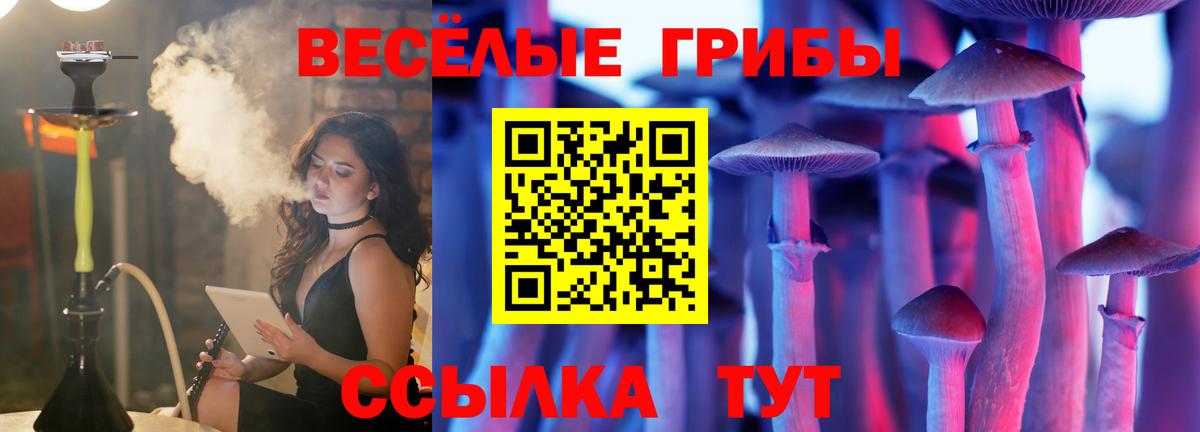 Псилоцибиновые грибы ЛСД  Вход с VPN  Геленджик 